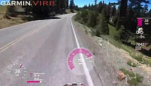 Suck my balls hard from Mt Lassen to Lake Tahoe in this wild car ride.