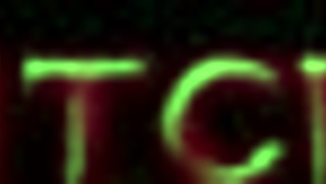 嘿，萨米·帕克的狠辣地产女王脸坐游戏超猛