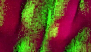 bend over for a quick doggystyle fuck