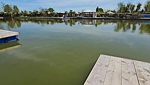 He shoves his huge cock in my mouth and fucks me while im sunbathing pt1