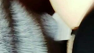 Feeling excited during video call as follower watches my ass licked and fucked.