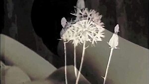 My Secret Life: Vintage Erotic Story in Silent Movies