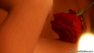 A couple engages in an intimate session with kissing and handjob