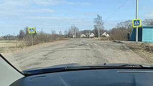 I Sucked in the Car for Trip and Ate All the Sperm Outdoors