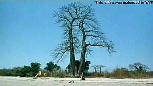 hey, have you seen indian actress kitu gidwani topless in french flick?