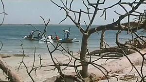 hey, have you seen indian actress kitu gidwani topless in french flick?