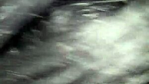 video from november 5, 2016