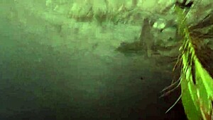 人妻肥臀街头露大屁股😏