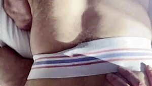 Little Bear Begs for Cock