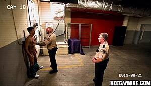 Two Inmates Caught Screwing Around in Office - Suggestive Hint