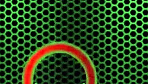 big tit florida slut its cleo in hardcore 3way camshow! 🔥