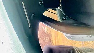 Hey, did you see that celebrity couple banging in the park?