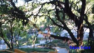 i give my shaved pussy to the square's masturbator while he rides my ass