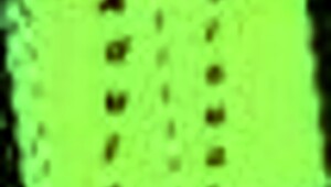 My New Family Episode 311