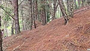 我在森林里快速操继妹和陌生人