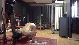 ev2 1 female domination with anal fisting for slave by mistress