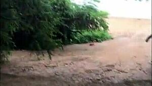 i'm trying hard to please you with my big cock