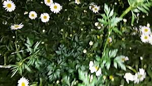 Sex With A Housekeeper After A Walk In The Garden - Girls Fly Orgasm!