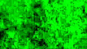 在狂野3D本子游戏中，巨大扶她用巨乳支配在美国设定