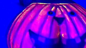 我爱抖超大肥臀南瓜