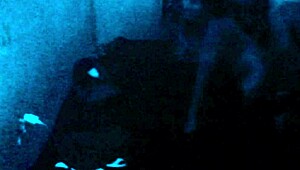 Ah, Don't Put It All In, It Hurts Me