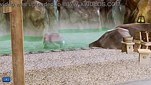 Exciting Adventures Await in Harem Hotel Game Episode Seven