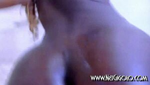 hey spicey doll, why you teasing on webcam like that? solo black babe action on net gigolo.