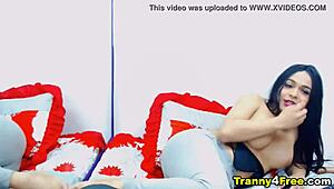 Gorgeous Slender Shemale Dayamhotts Stuns In Wild Action