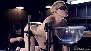 blonde bound in doggy gets harsh caning