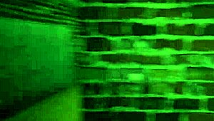 Let’s Sneak a Peek at Girls’ Gym Workout Fun