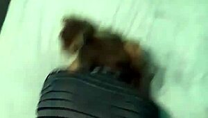 pov doggystyle bent over on big bed, latina milf webcam netbook