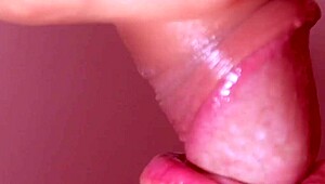 Japanese Close-Up Blowjob with Cum in Mouth in Romantic Story