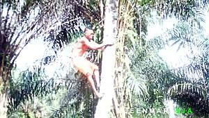 did you see how she rewarded me after helping with firewood?