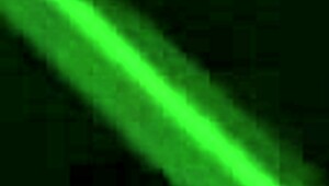 Asian hot fucks black guy bareback in swing house.