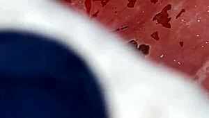 哟，偷窥火辣阿根廷邻居晒太阳！😎