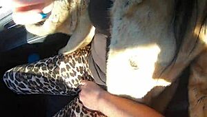 Cheating wife sucks cock outdoors with husband’s friend during fur-coat shopping! Hell yeah!