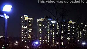 女性接待秘书在柔软韩国环境中闪耀。