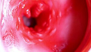 Big red cock in juicy hole ready to cum