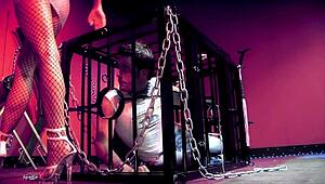 i cant wait to fuck my mistress so i rip her fishnets off and lick her shaved pussy