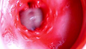 Big red cock in juicy hole ready to cum