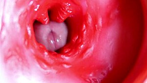 Big red cock in juicy hole ready to cum