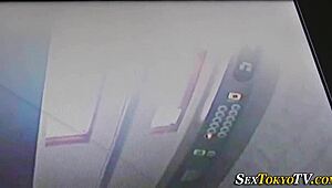 亚洲18+少女偷偷在公共场所揉自己