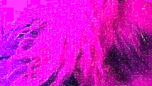 Wife Shares Intimate Moment