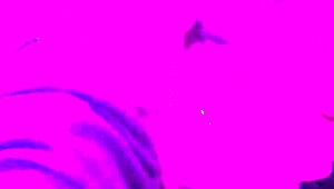 Wife Shares Intimate Moment