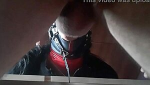 Check out this facial compilation with ring gag