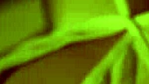 Florane Russell Enjoys A Relaxing Solo Session With Her Favorite Toy In A Private Setting