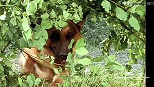 Sabine Petzl, wanna give a hot handjob in retro style?