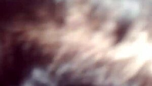 Trans Sucks Client's Pink Big Dick