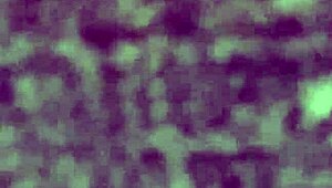 Hidden candid shots of teen's ass