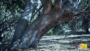 两个调皮天使树下森林共享感官性爱